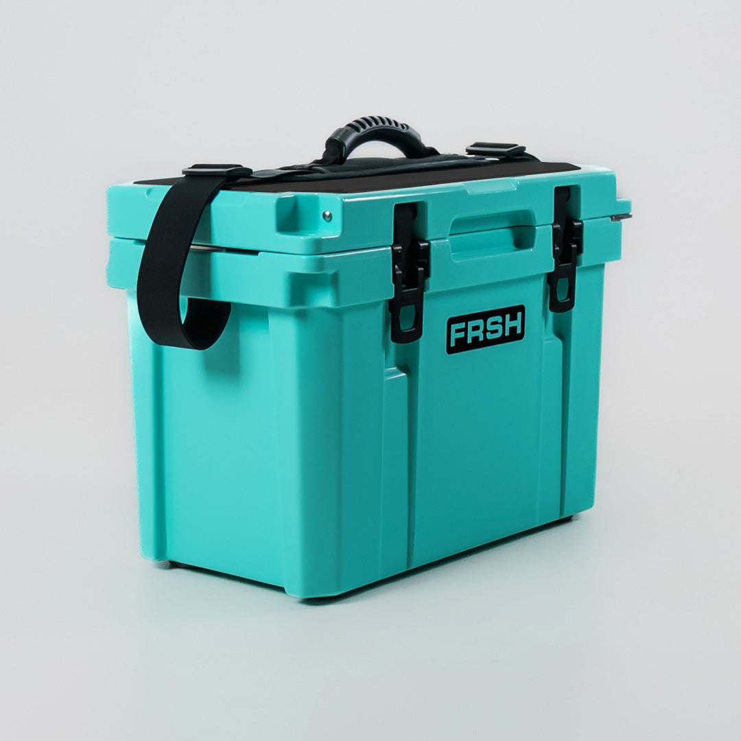 FRSH 17L hard cooler with sea moss color, durable insulated lid and sturdy handle for outdoor and travel use