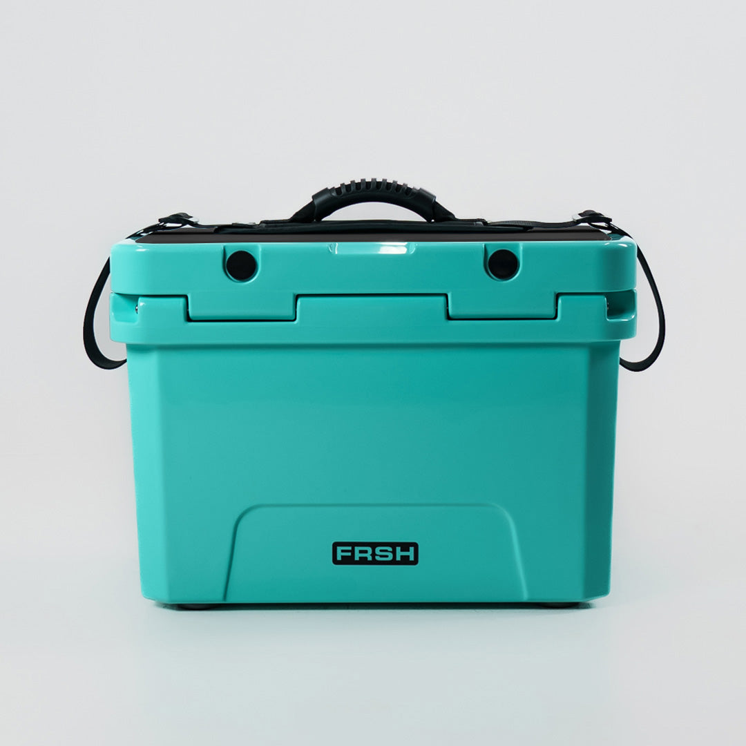 FRSH 17L hard cooler with sea moss color, durable insulated design, and sturdy handle for outdoor and picnic use